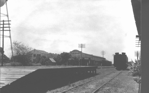Florida Citrus Exchange building with a train in front.