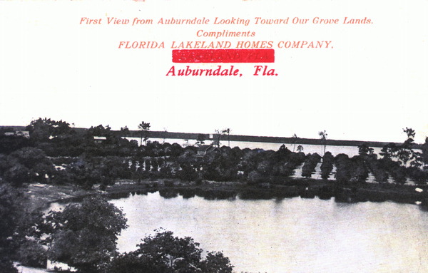 First view from Auburndale looking toward our grove lands.