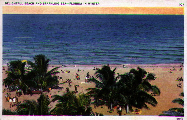 Delightful beach and sparkling sea - Florida in winter