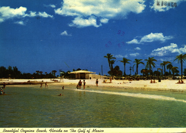 Beautiful Coquina Beach - Florida on the Gulf of Mexico