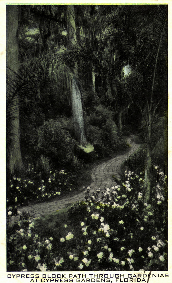 Cypress block path through gardenias at Cypress Gardens - Florida