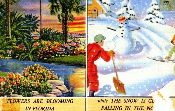 Flowers are blooming in Florida while the snow is gently falling in the north
