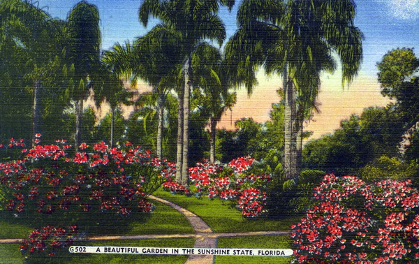A beautiful garden in the Sunshine State - Florida