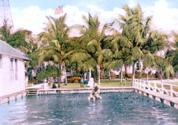 Swimming pool, Royal Palm Hotel..