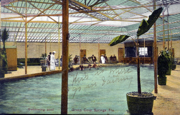 Swimming pool - Green Cove Springs, Florida