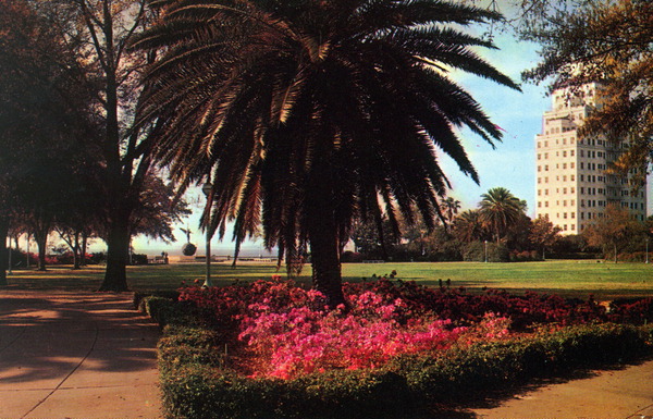 Memorial Park - Jacksonville, Florida.