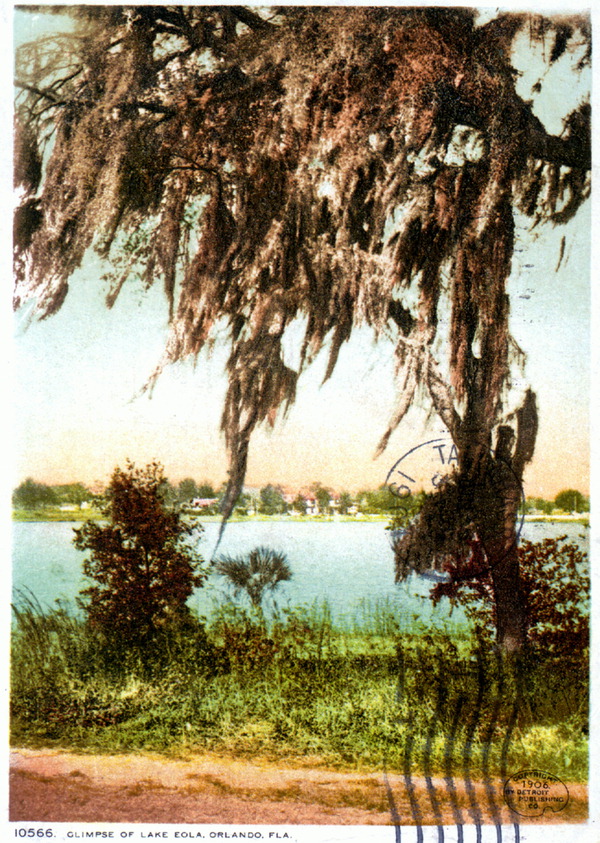 Glimpse of Lake Eola - Orlando, Florida.