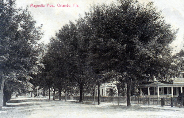 Magnolia Avenue - Orlando, Florida