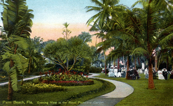 Evening view in the Royal Poinciana garden - Palm Beach, Florida.