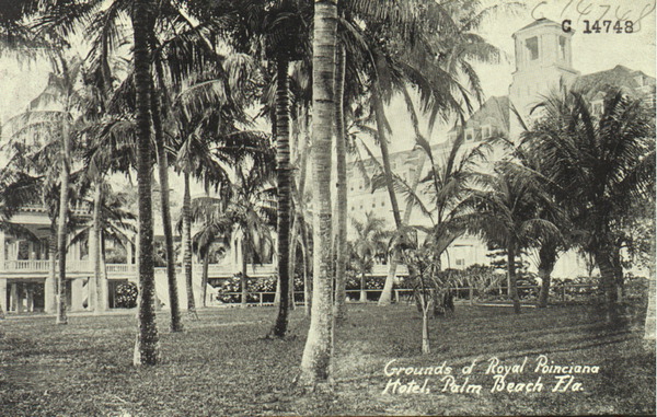 Grounds of the Royal Poinciana Hotel - Palm Beach, Florida.