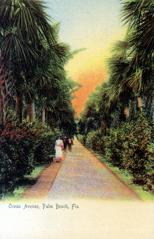 Ocean Avenue - Palm Beach, Florida.