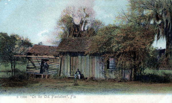 On the old plantation.Florida.