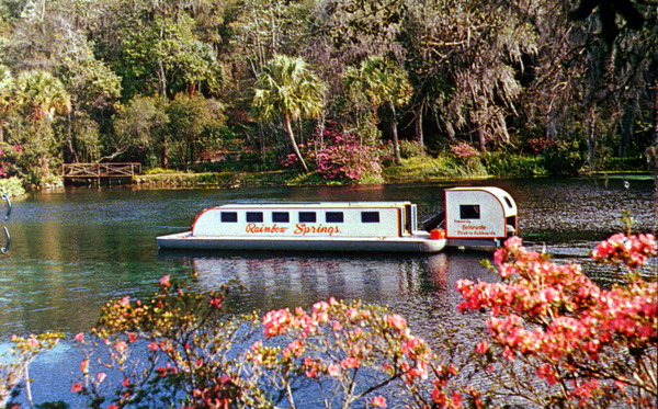 Florida's Rainbow Springs.