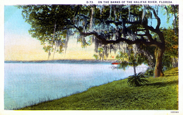 On the banks of the Halifax River - Florida