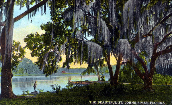 The Beautiful St. Johns River - Florida
