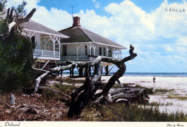 Driftwood - Sanibel Island, Florida.