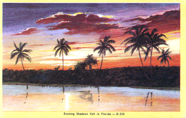 Evening shadows fall in Florida