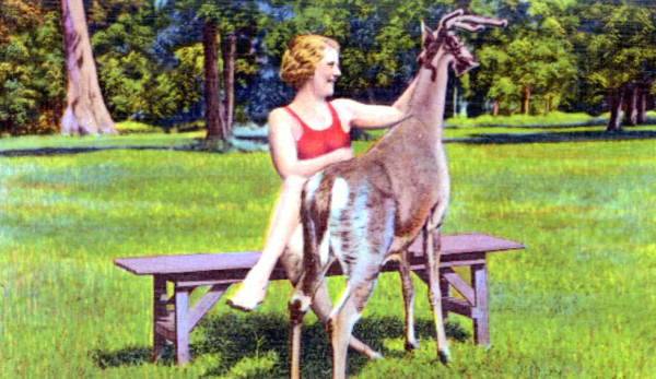 Feeding pet deer "Bill" at Silver Springs.