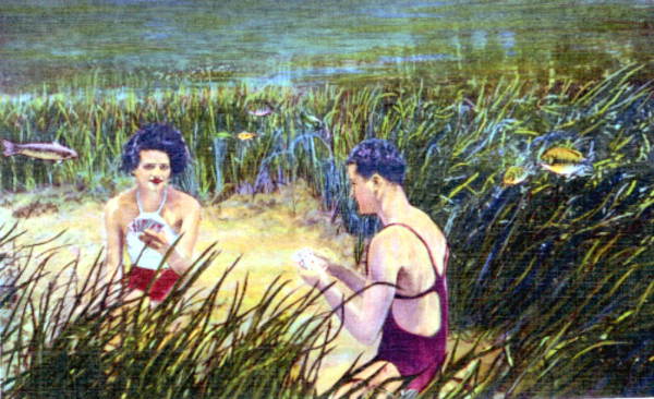 Playing cards in crystal clear waters of Silver Springs.