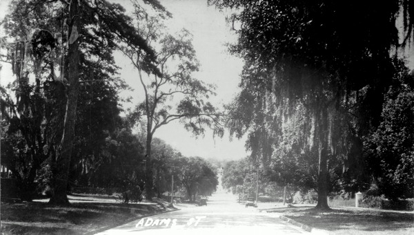 Adams Street - Tallahassee, Florida.