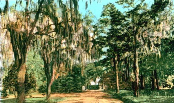 Entrance to home of Tallahassee girl