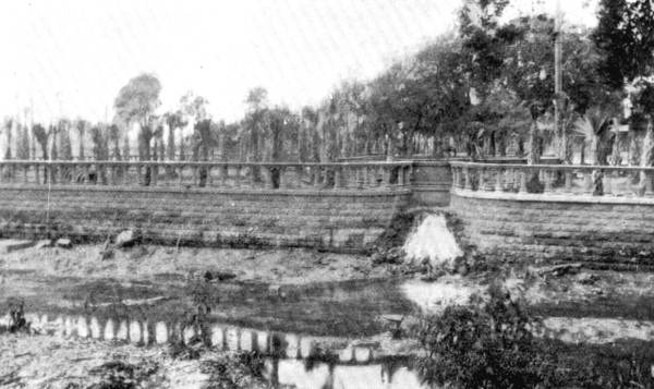 Palmaceia springs, Bayshore Boulevard.