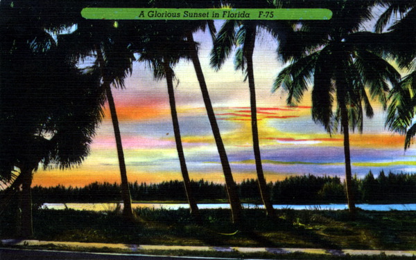 A glorious sunset in Florida