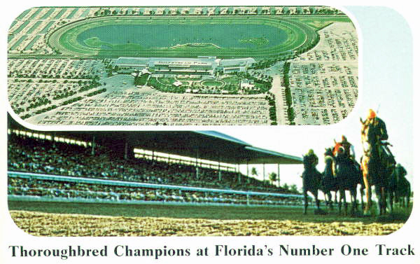 Thoroughbred champions at Florida's number one track.