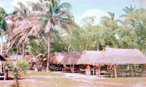 View of Indian Village, Musa Isle Indian Village, Miami, Fla.