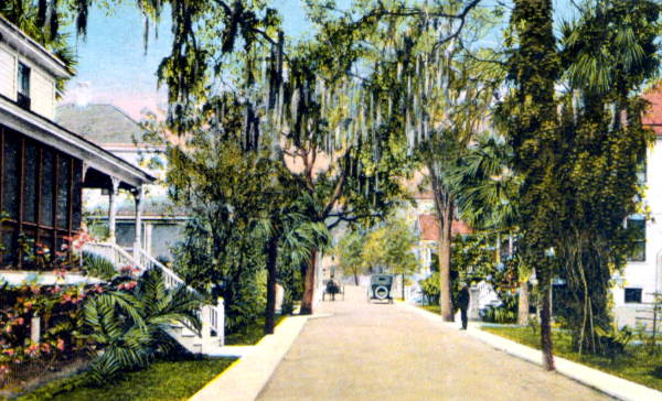 Ivy Lane - Daytona Beach, Florida.