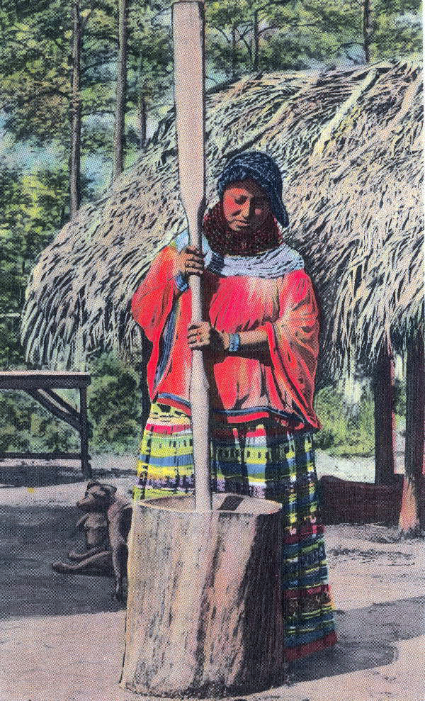 Seminole Indian woman grinding corn in the Florida Everglades.
