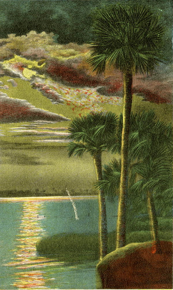 Even-tide in Florida .