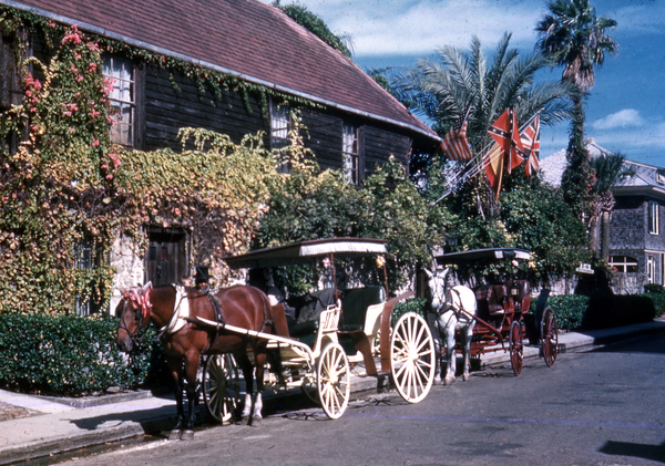 Horse-drawn carriages in front of the Oldest House on Saint Francis Street in St. Augustine, Florida.