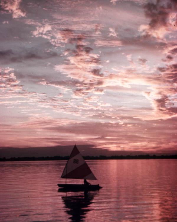 View showing the sunset at Florida Cypress Gardens theme park in Winter Haven, Florida.