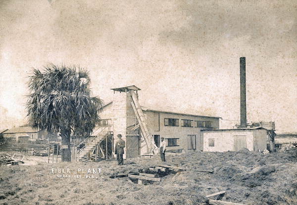View of the Standard Manufacturing Co. "fiber plant" in Cedar Key, Florida.