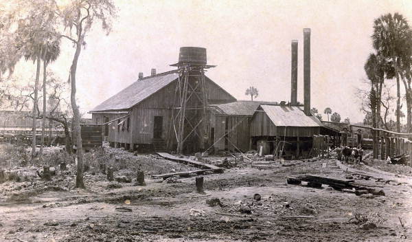 Gulf Hammock fiber factory.