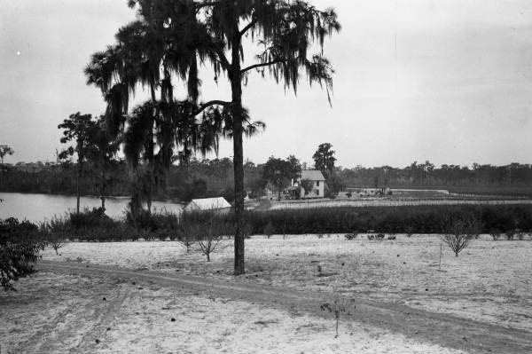 View showing snow on the ground near a lake in Florida.
