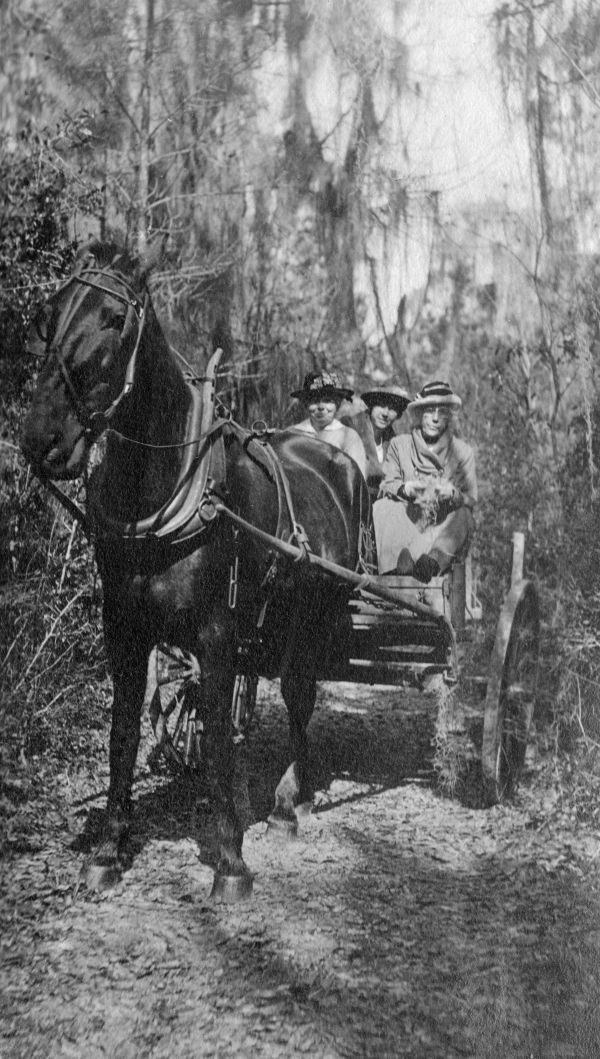 Women driving a horse-drawn cart in Hibernia.