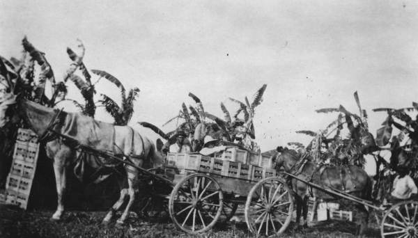 Loading crated tomatoes at Kobayashi farm, Yamato