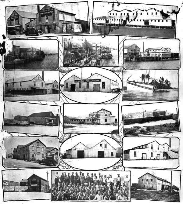 Photocollage of Apalachicola residents, fish and oyster houses.