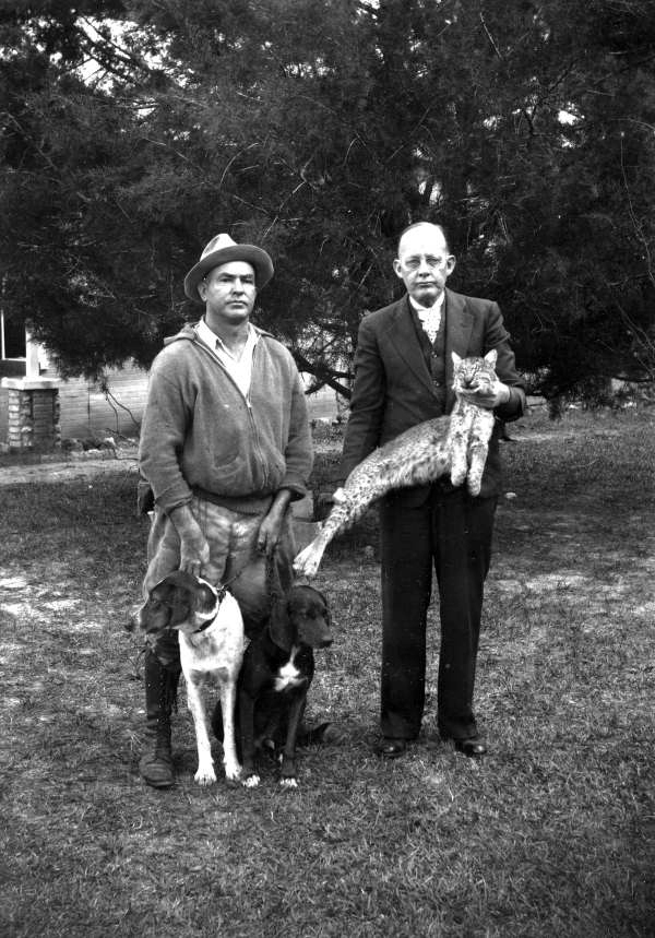 Two men, two dogs and a bobcat