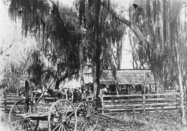 Crowd near horse in corral with cart in foreground
