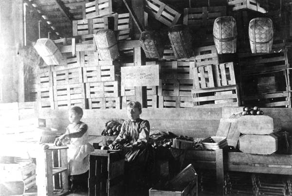 Cooperville tomato packing house