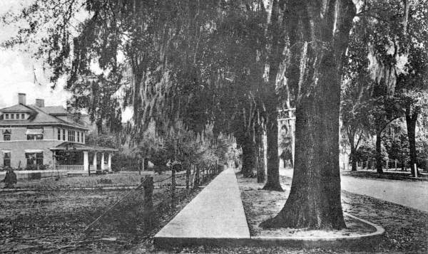 Residential street scene - Dade City, Florida