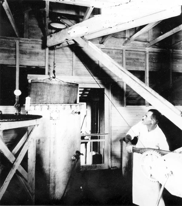 Man at work in a cannery?