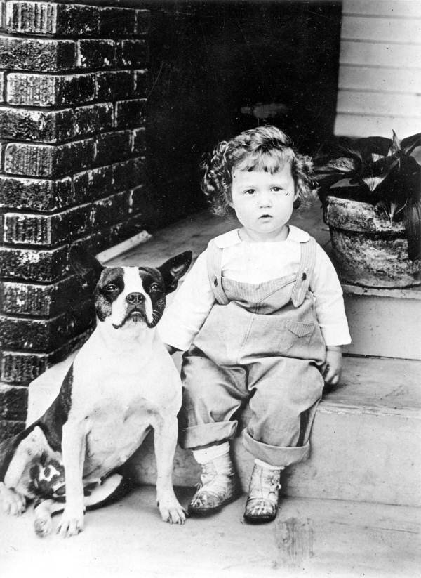 Child with Boston Bulldog.