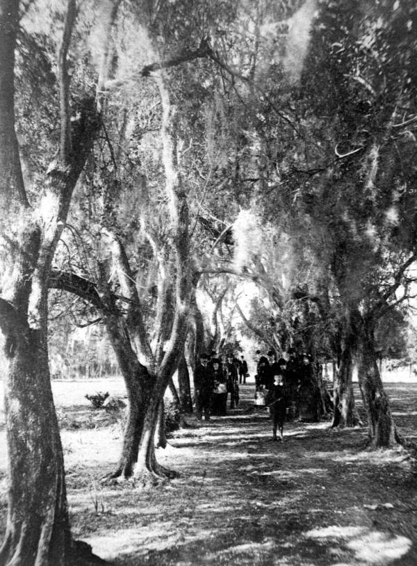 Street scene - Fernandina, Florida.