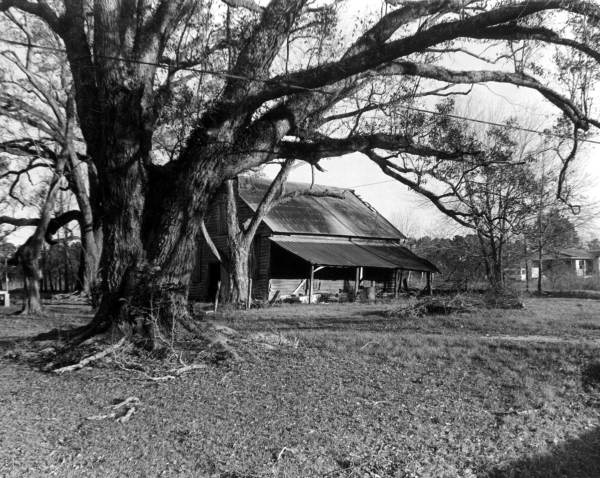 Abandoned Barn in Gadsden County..