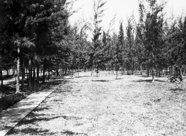 Krome park, built by the FERA : Homestead, Florida