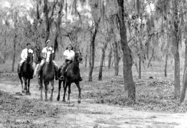 Riding in Florida woodland trails